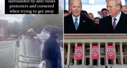 Itâs not just Trump âÂ Biden found major civil-rights problems with Harvard too